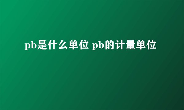 pb是什么单位 pb的计量单位