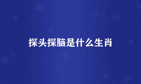 探头探脑是什么生肖