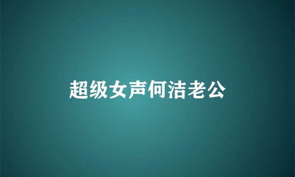 超级女声何洁老公
