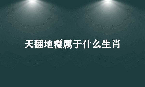 天翻地覆属于什么生肖