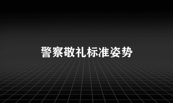 警察敬礼标准姿势