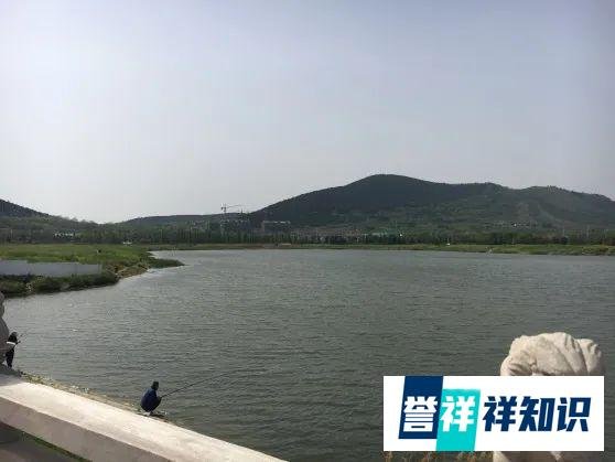 2019实用技术 | 水生植物定向控制的水域生态修复重建技术