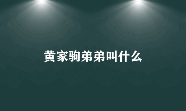 黄家驹弟弟叫什么