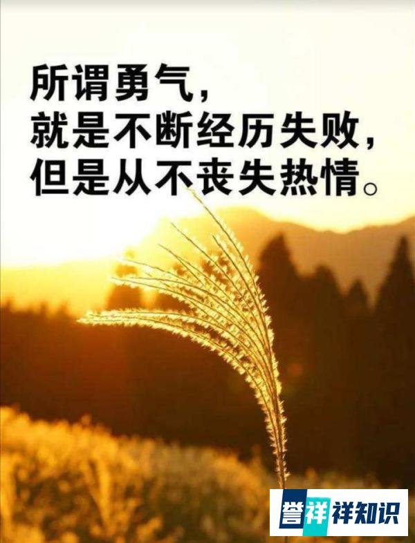 小说《风声》:历史洪流中的无声呐喊