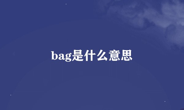 bag是什么意思