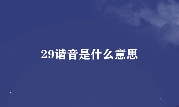 29谐音是什么意思
