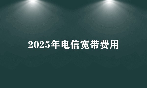 2025年电信宽带费用