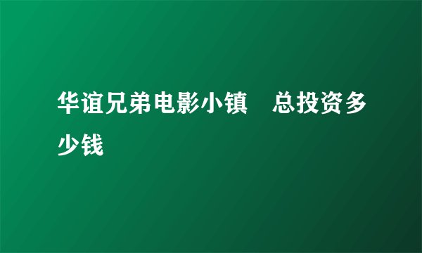 华谊兄弟电影小镇‌总投资多少钱