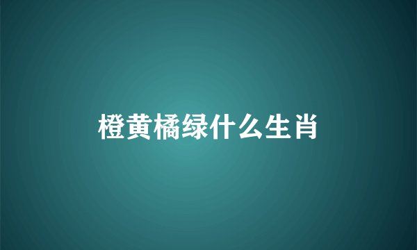 橙黄橘绿什么生肖