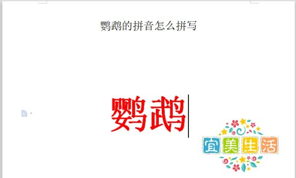 鹦鹉的拼音怎么拼写