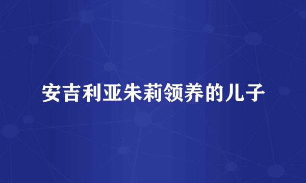 安吉利亚朱莉领养的儿子