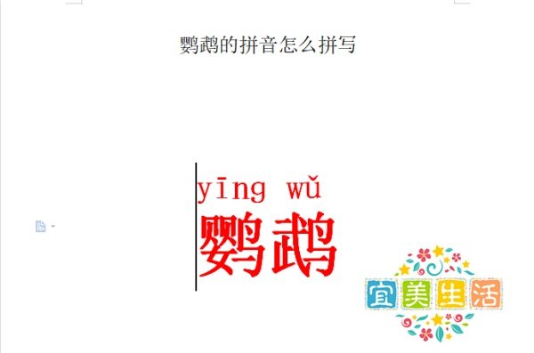 鹦鹉的拼音怎么拼写