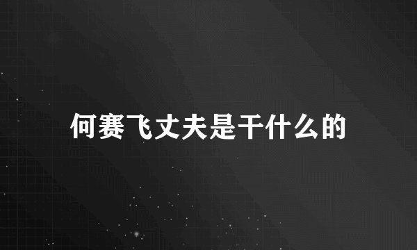 何赛飞丈夫是干什么的