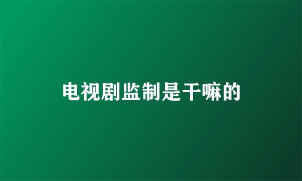 电视剧监制是干嘛的