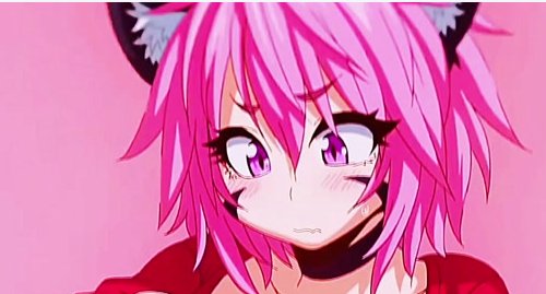 兽娘通信全集哪里看