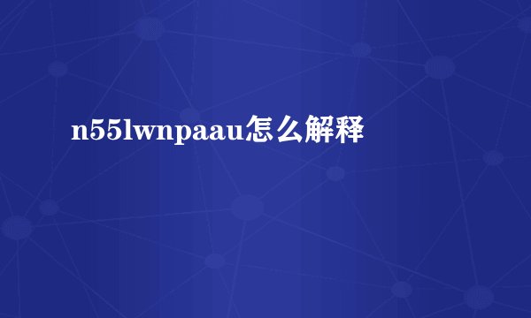 n55lwnpaau怎么解释