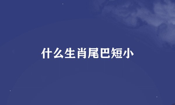 什么生肖尾巴短小