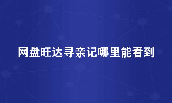 网盘旺达寻亲记哪里能看到