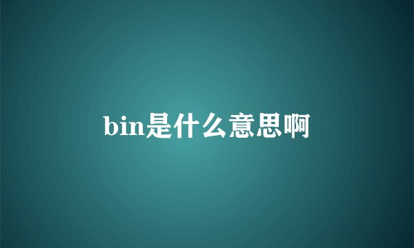 bin是什么意思啊