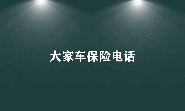 大家车保险电话