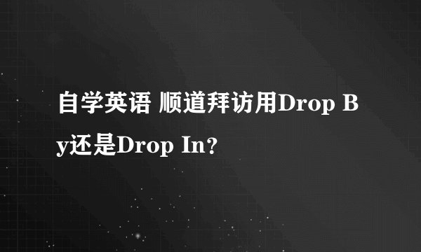 自学英语 顺道拜访用Drop By还是Drop In？