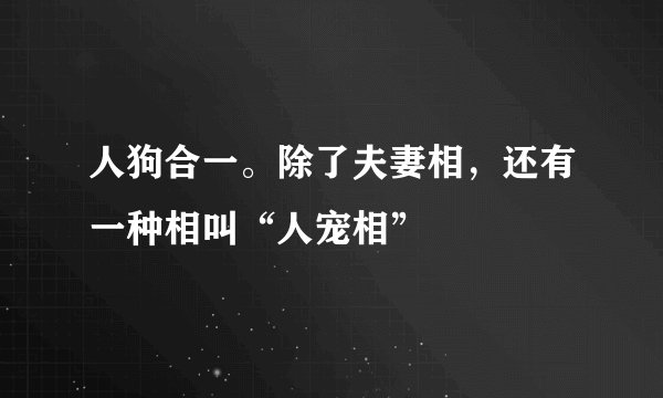 人狗合一。除了夫妻相，还有一种相叫“人宠相”