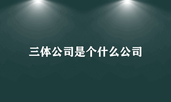三体公司是个什么公司