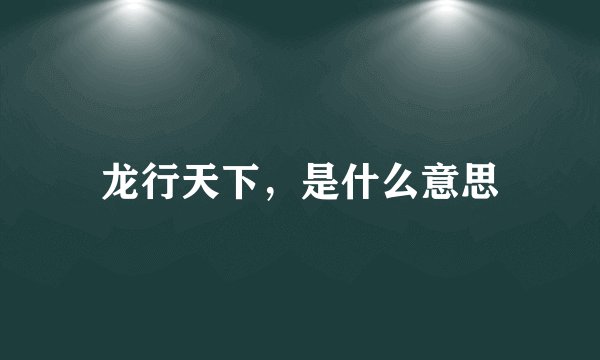 龙行天下，是什么意思