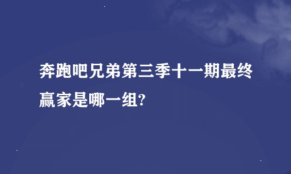 奔跑吧兄弟第三季十一期最终赢家是哪一组?