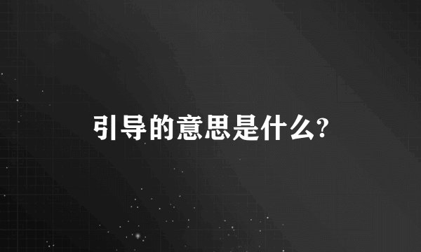 引导的意思是什么?