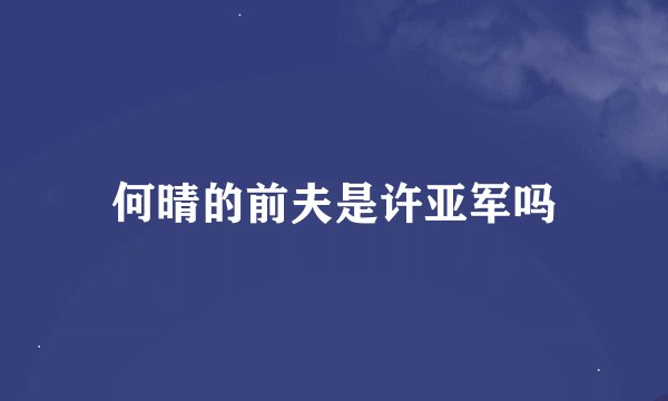何晴的前夫是许亚军吗