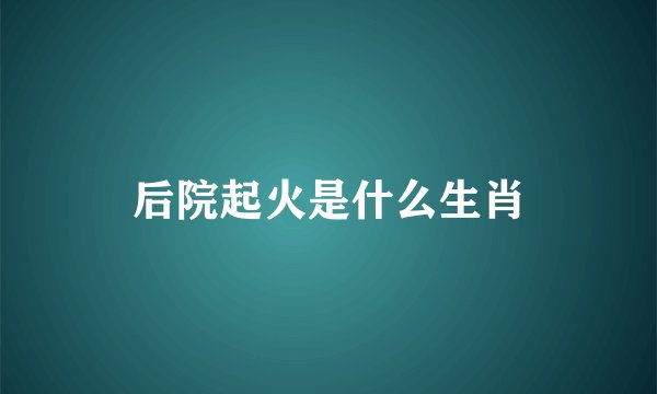 后院起火是什么生肖