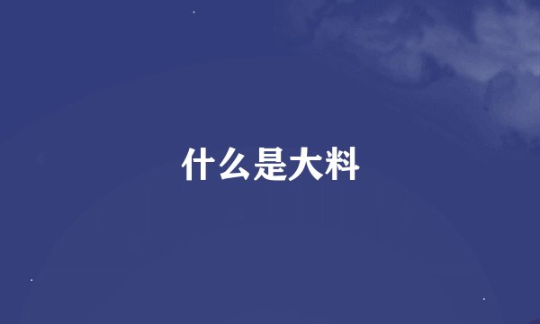 什么是大料