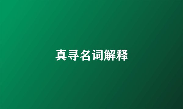 真寻名词解释