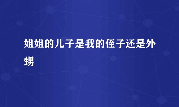 姐姐的儿子是我的侄子还是外甥