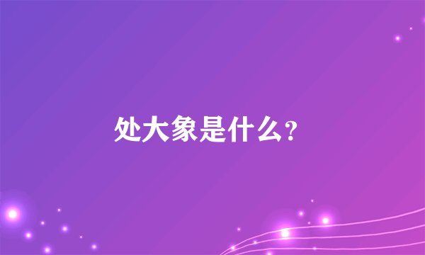 处大象是什么?