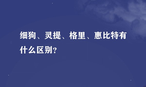 细狗、灵提、格里、惠比特有什么区别？
