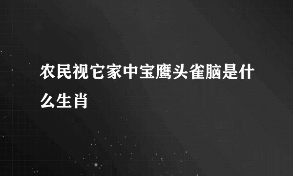 农民视它家中宝鹰头雀脑是什么生肖