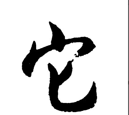 用“它们”造句怎么造？