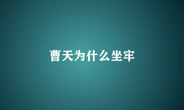曹天为什么坐牢
