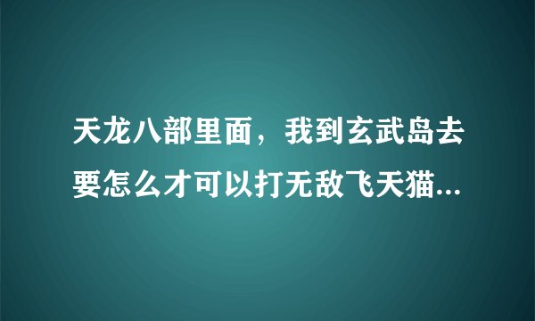 天龙八部里面，我到玄武岛去要怎么才可以打无敌飞天猫啊？用自动寻路也找不到无敌飞天猫啊？