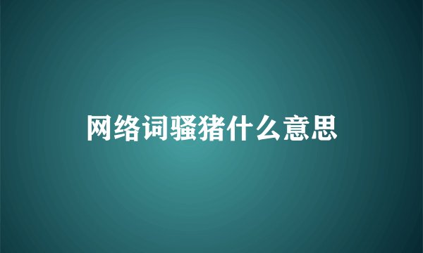 网络词骚猪什么意思