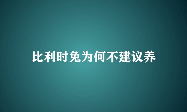 比利时兔为何不建议养