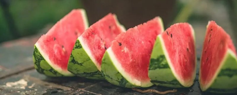 日本西瓜多少钱一斤