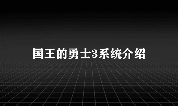 国王的勇士3系统介绍
