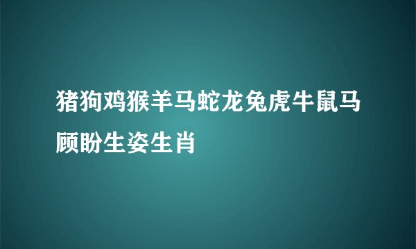 猪狗鸡猴羊马蛇龙兔虎牛鼠马顾盼生姿生肖