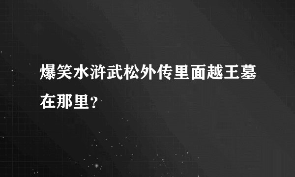 爆笑水浒武松外传里面越王墓在那里？