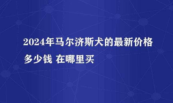 2024年马尔济斯犬的最新价格多少钱 在哪里买
