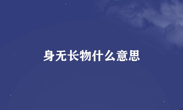 身无长物什么意思
