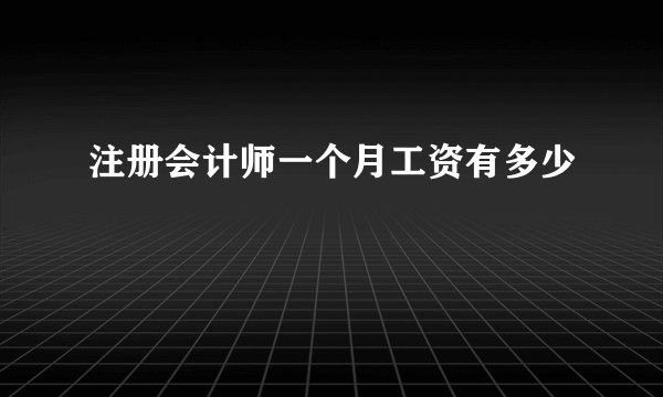 注册会计师一个月工资有多少